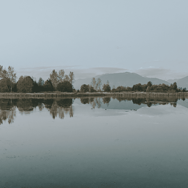Creek with landscape in the background 