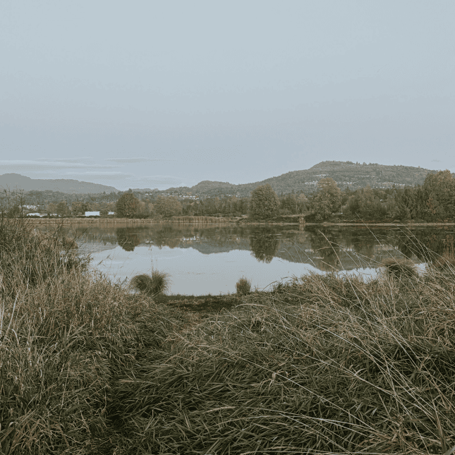 Creek with landscape in the background 