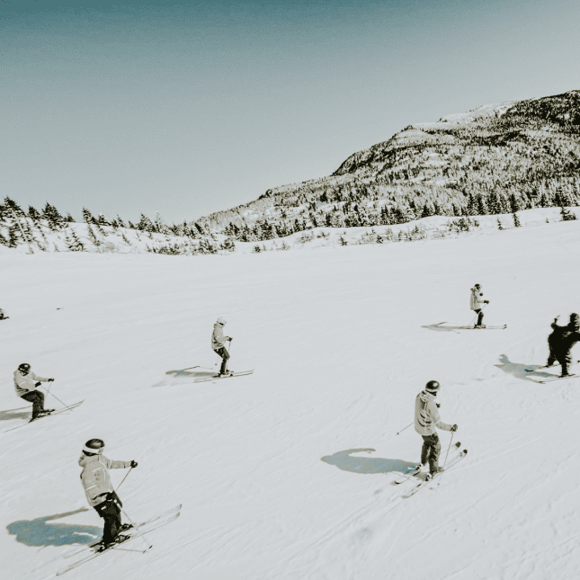 people skiing 
