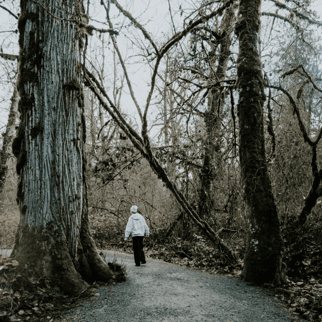 Person walking through forest 