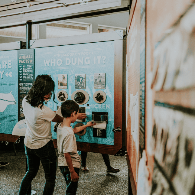 People looks at facts on a board at a farm
