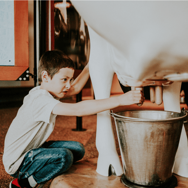 Child participating in a hands-on dairy activity indoors.
