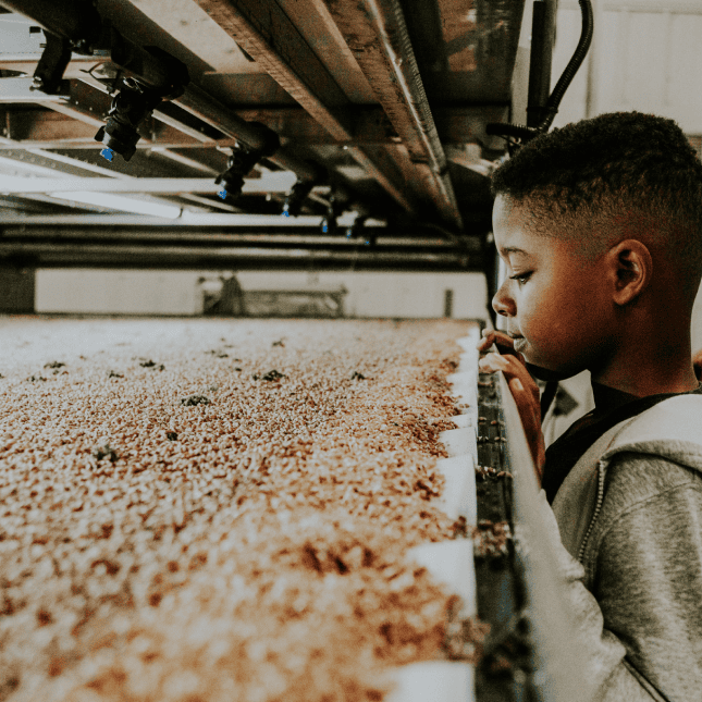Boy leaning over and observing at a farm