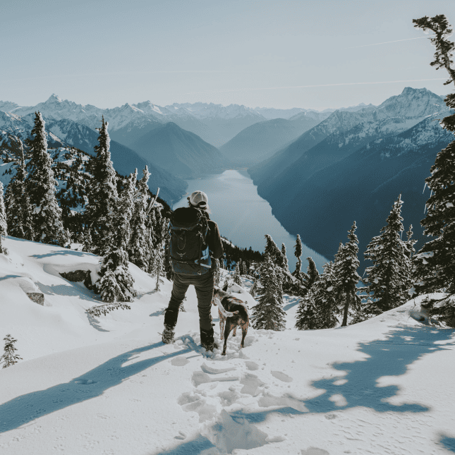 A person and their dog snowshoeing together on a scenic winter trail overlooking mountains.