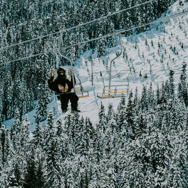 A view of a skier in a Sasquatch suit on the chairlift on a mountainside.