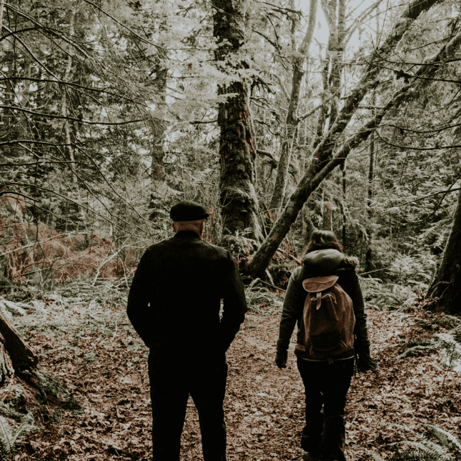 Two people walking away from the camera along a forest trail surrounded by tall trees.