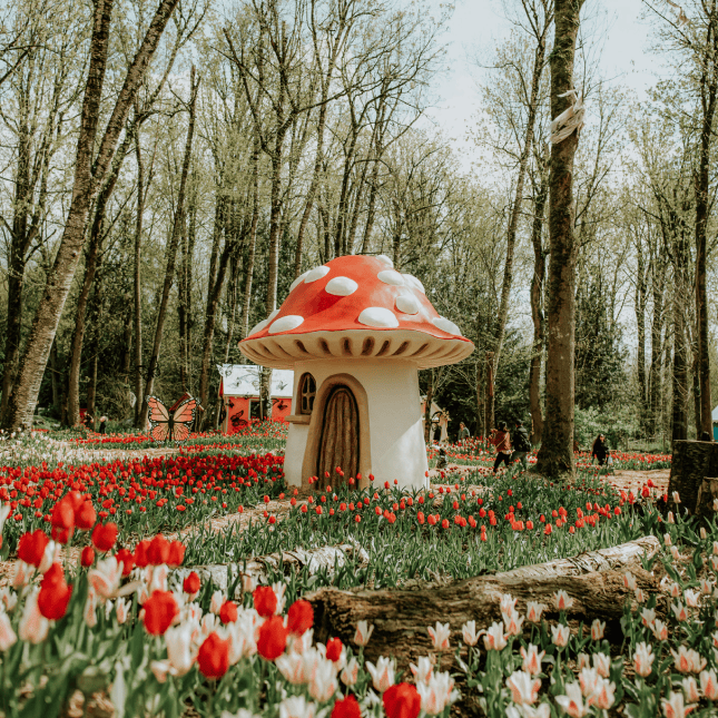 Tulip field with whimsical mushroom house structures.