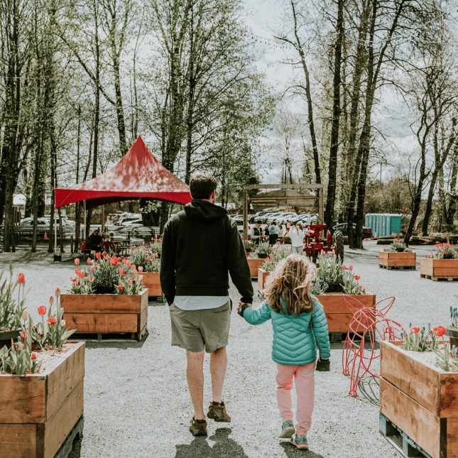 Adult and child walking hand in hand at a tulip farm.