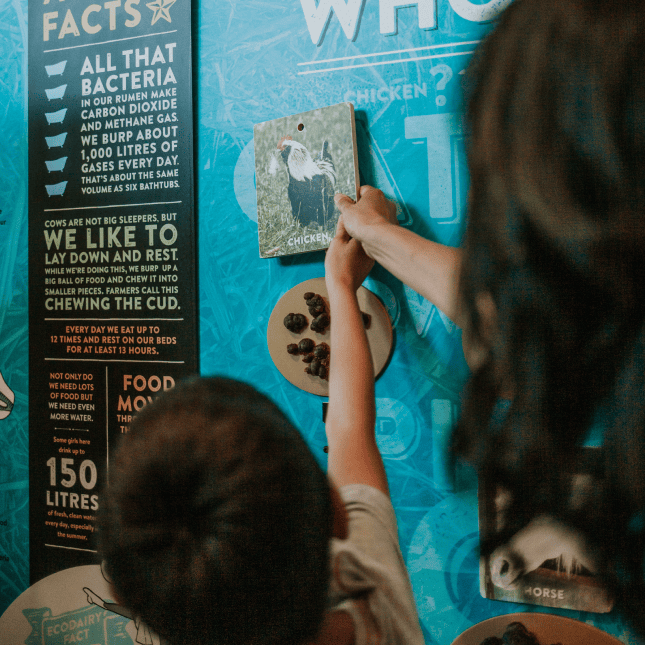 Child looking at a farm information board.