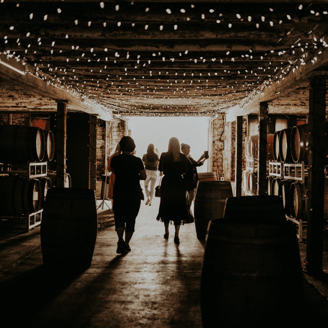 Interior of a barn-style winery with string lights and barrels.