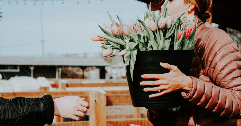 Person carrying a potted plant outdoors.