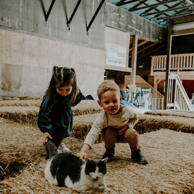 children interacting with a small farm animal.