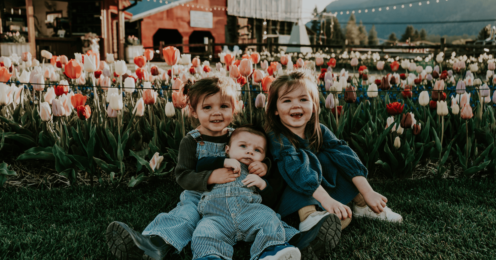 Two children sitting together in a tulip field smiling.