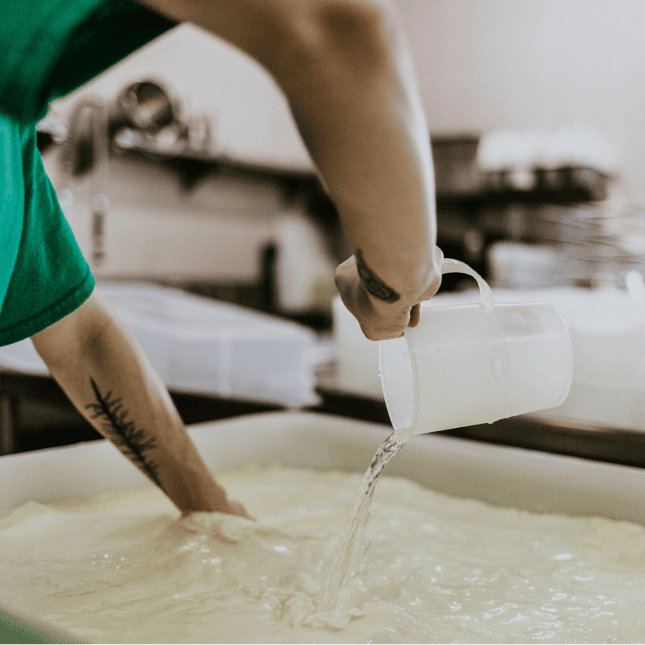 Cheesemaker working with fresh curds in a dairy facility.