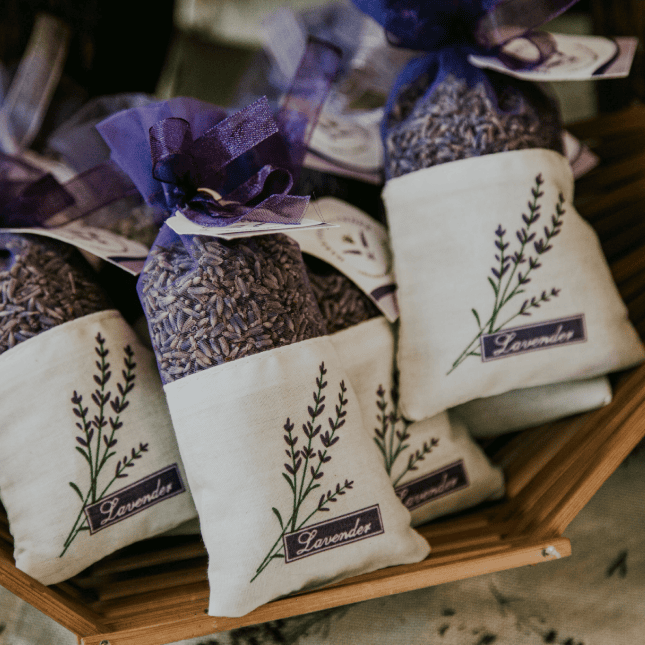 Lavender field with a small building in the background.