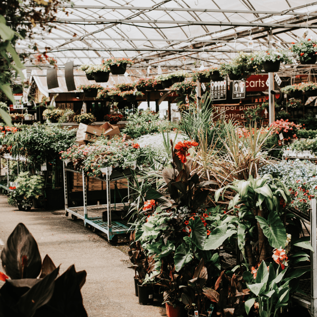Garden centre filled with plants and flowers.