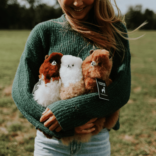 Person holding stuffed animals 