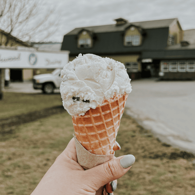 ice cream in a cone