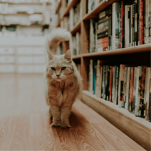 Chilliwack The Bookman 2022 26 1